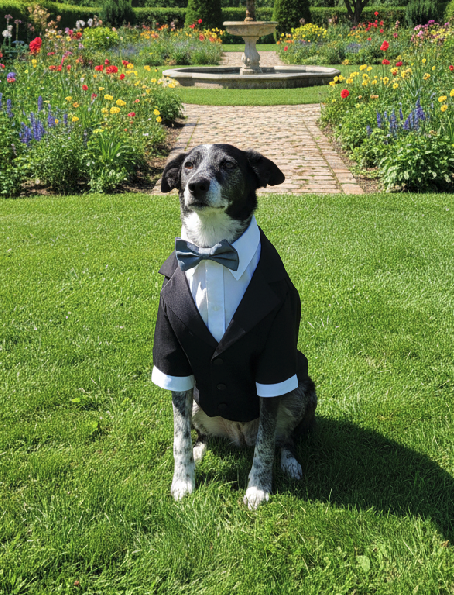 Lieutenant Governor Scout